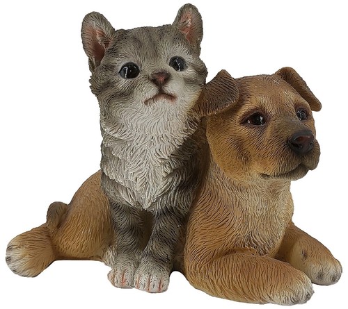 Cane labrador gatto - cane,