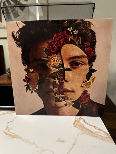Shawn mendes self titled - self,