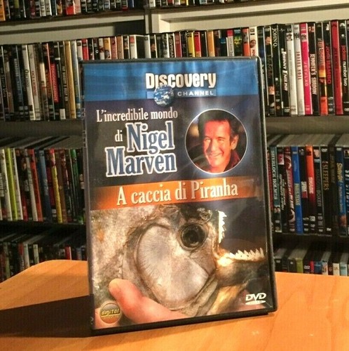 Discovery channel - discovery,