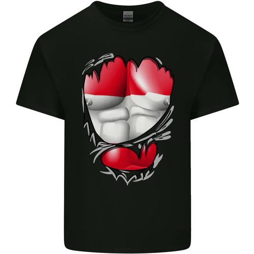 Shirt uomo gym - uomo, bandiera