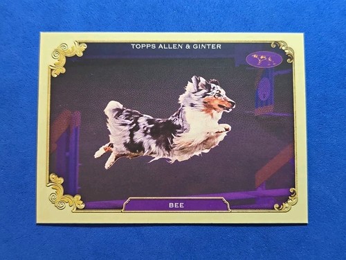 2024 bee topps allen ginter - topps, &