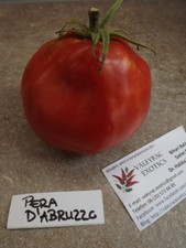 Pera del pomodoro d'Abruzzo -