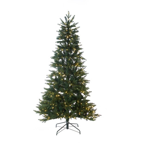 Oca nera albero - l'oca,