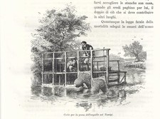 Stampa antica PESCA DELLE