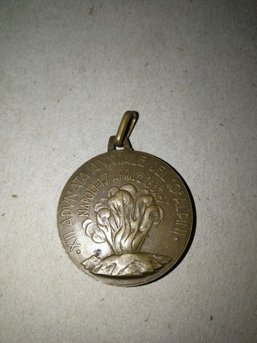 Medaglia adunata alpini - adunata,
