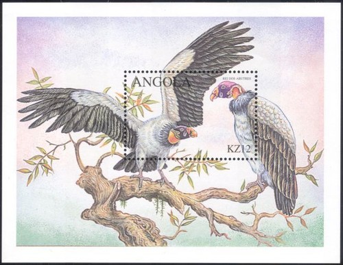 Angola 2000 avvoltoio - angola,