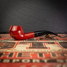 PIPA PIPA BUTZ CHOQUIN