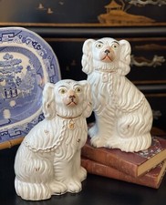 Gorgeous Rare 19C White