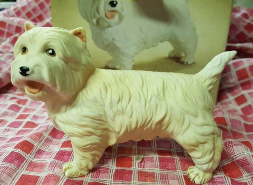 West highland terrier dog - west,