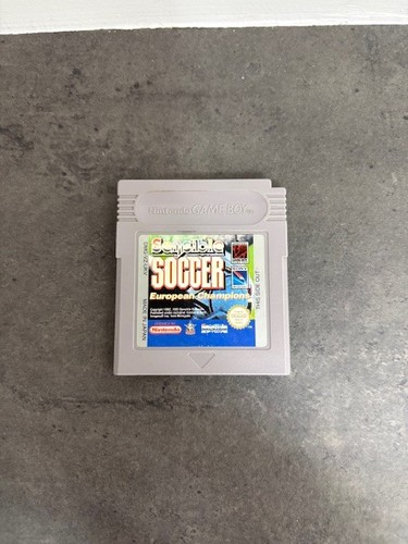 Sensible soccer european - soccer,