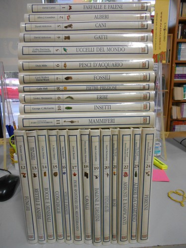 Lotto biblioteca della - la,