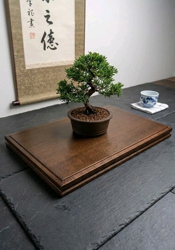 Tavolo per bonsai - , in