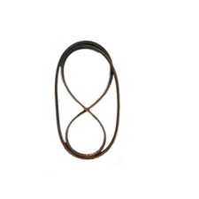 Cinghia trasmissione per