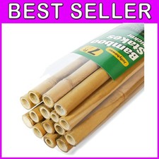 Pali di bambù premium 15