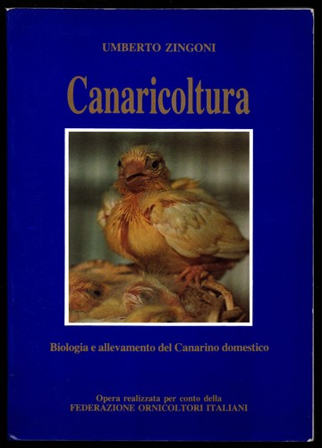 Zingoni canaricoltura - zingoni,