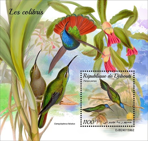 Francobolli colibrì colibri - colibrì,