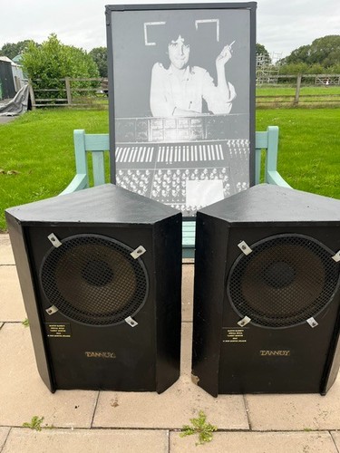 Tannoy monitor gold - monitor, 15