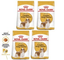 ROYAL CANIN Cavalier King