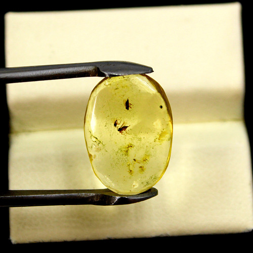 Cabochon ambra baltica - di,
