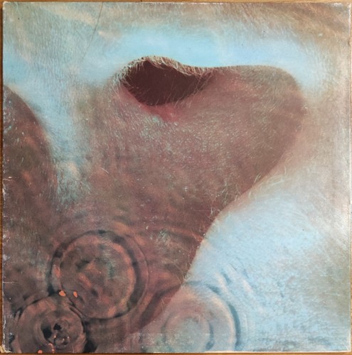 Pink floyd meddle 3 c - –,