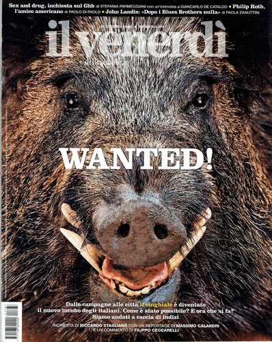 VENERDI