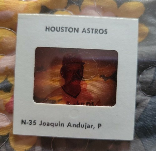 1977 houston astros giocatori - houston,