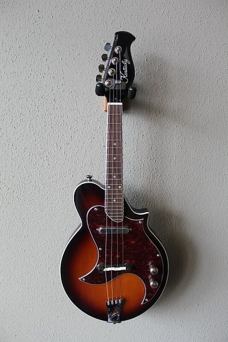 Nuovissimo mandolino elettrico