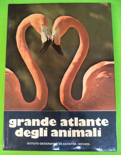 Book libro grande atlante - libro,