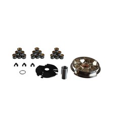 Variatore ScooterLibre (per