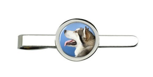 Alaskan malamute fermacravatta - malamute,