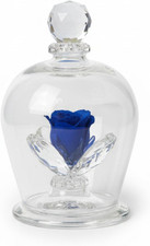 Debora Carlucci Rosa