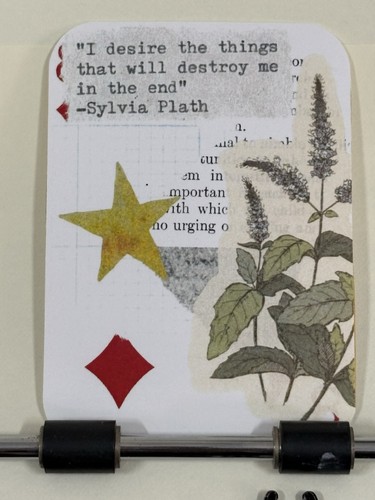 Aceo plant print - print, sylvia