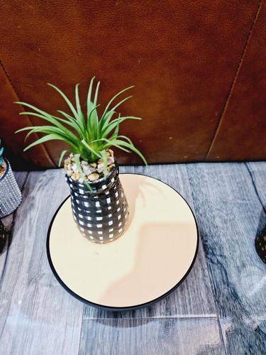 Espositore succulente - , in