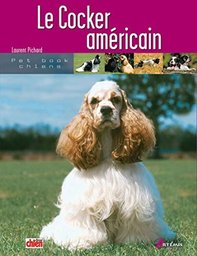 Cocker americano molto - (0),