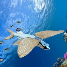 Pesce Volante Giocattolo