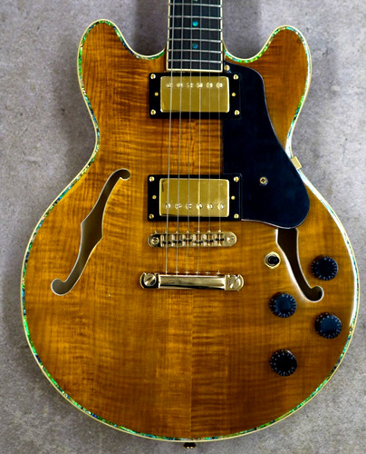 Aio wolf ksa90 chitarra - aio,