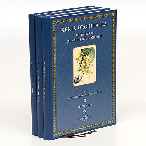 Reichenbach xenia - reichenbach,, h.g.