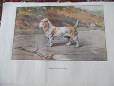 Gravures chien de chasse - de,