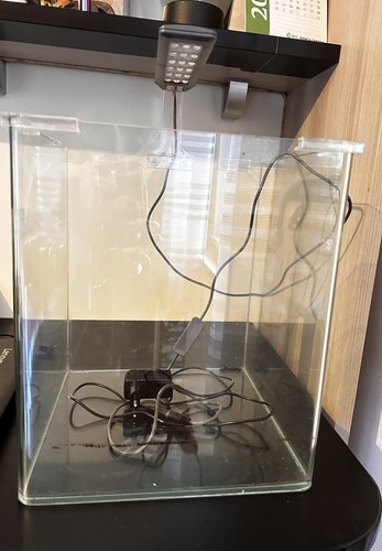 Acquario amtra 30l accessori - amtra,