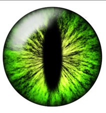 10pcs CABOCHON 12MM strass