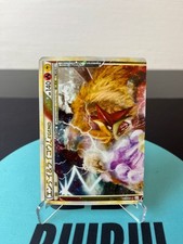 Pokemon Entei & Raikou