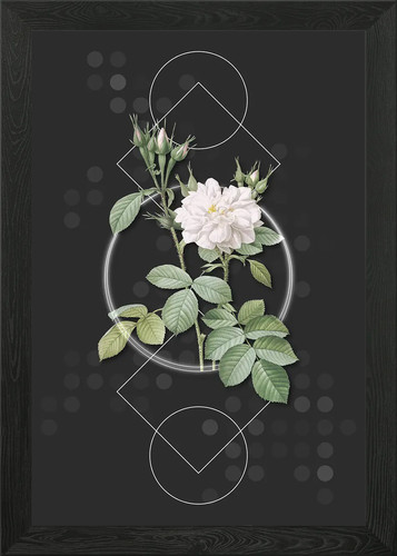 Quadro stampa tela - quadro,