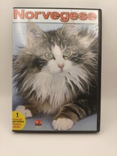 Norvegese – DVD Documentario