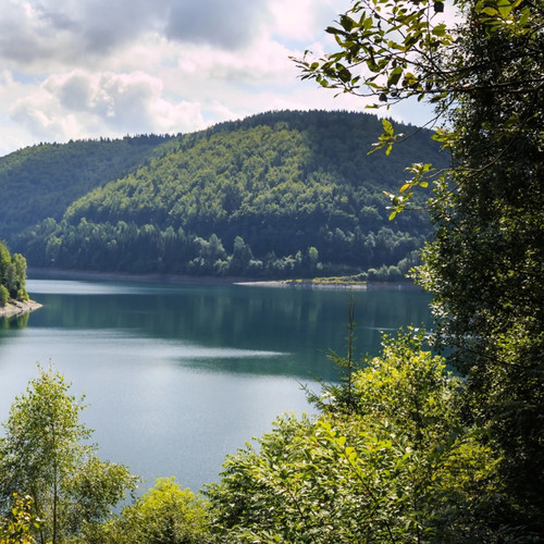 Foresta della turingia - foresta, breve