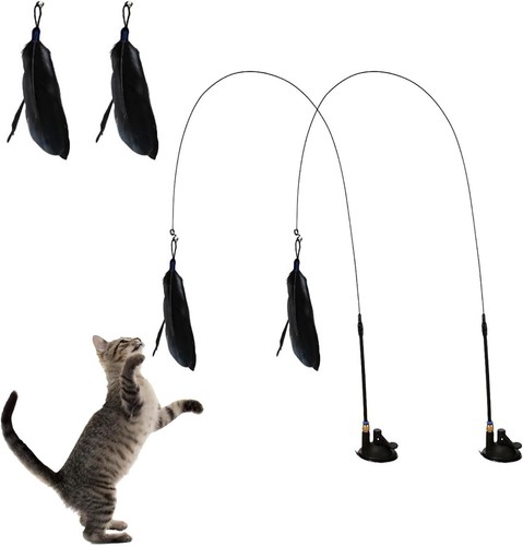 Gioco gatto interattivo - gioco,