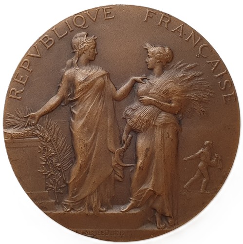 Francia medaglia bronzo - francia,