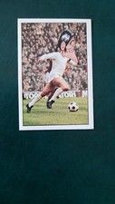 Figurina Calciatori Panini