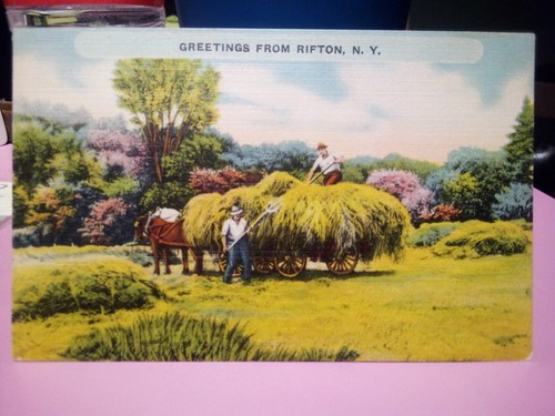 Rifton ulster county saluti - rifton,