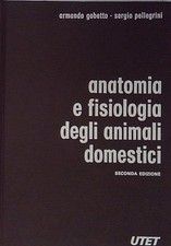 Gobetto pelelgrini anatomia - gobetto, e