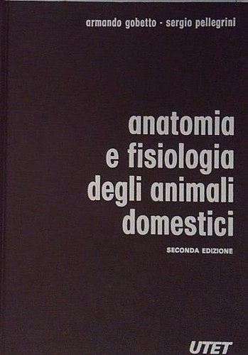 Gobetto pelelgrini anatomia - gobetto, e